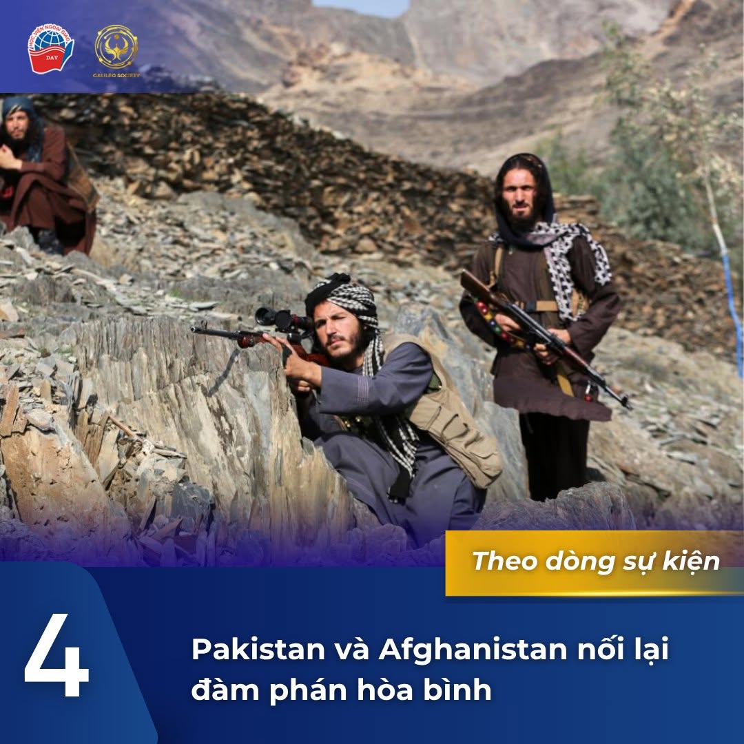4 (6)