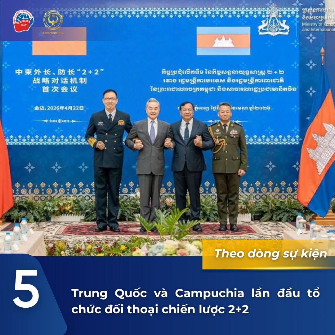 5 (6)